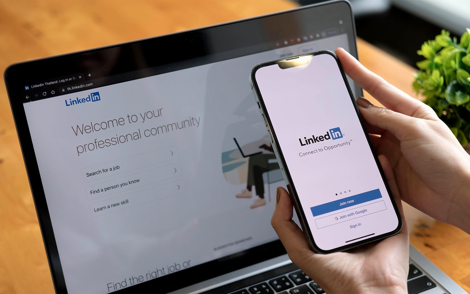 LinkedIn Network