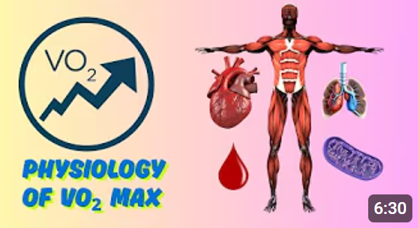 VO₂ Max: Decoding the Physiology Behind Your Aerobic Capacity