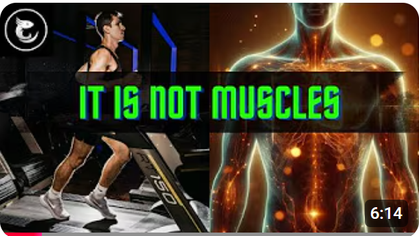 Regular Exercise Increases THIS In Your Body
